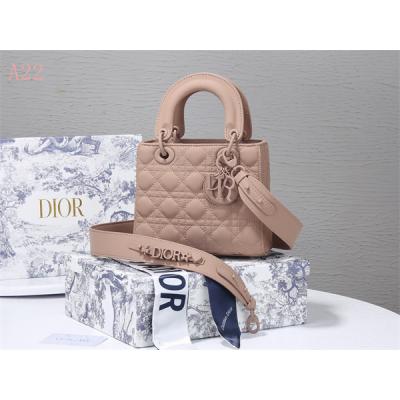 Dior Bags AAA 021